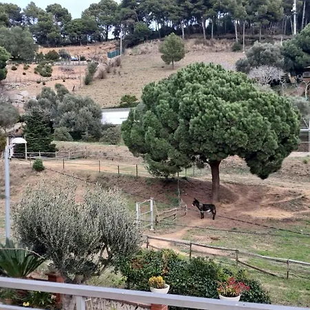 아파트 Terrazas Del Mar, Levante *